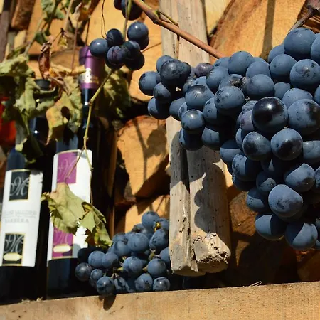 Agriturismo Il Nido Di Bacco *