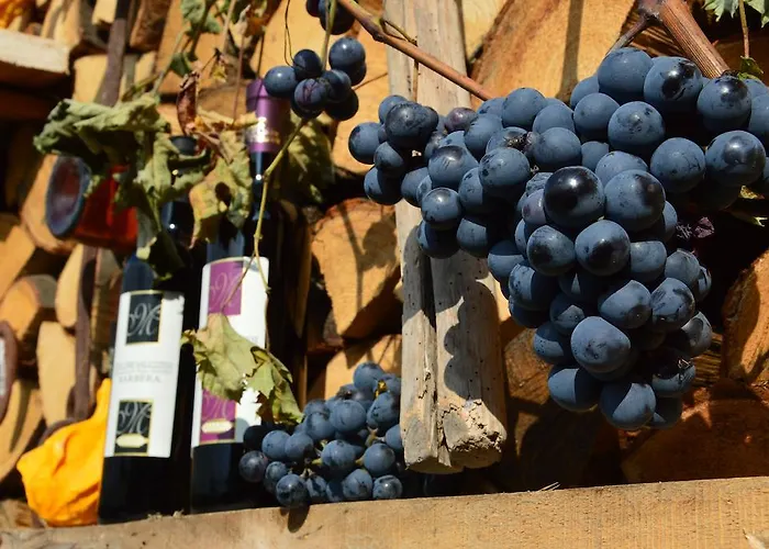 Agriturismo Il Nido Di Bacco *